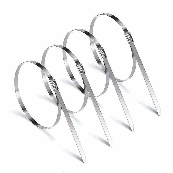 High Tensile Cable Ties 4.6*500mm 304 Stainless Steel Self-Locking Zip